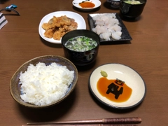エソの釣果