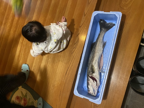 釣果