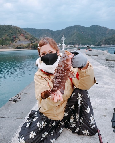 アコウの釣果