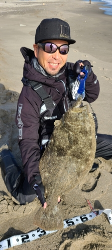 ヒラメの釣果