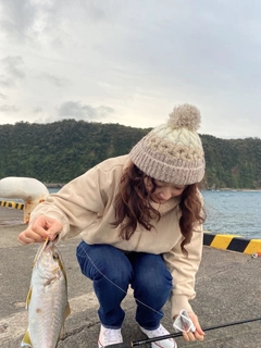 ショゴの釣果