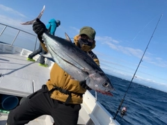 ビンチョウマグロの釣果