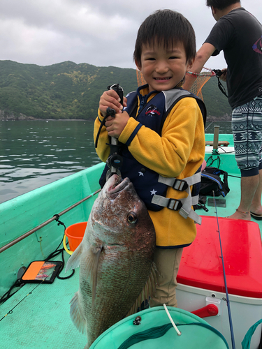 マダイの釣果