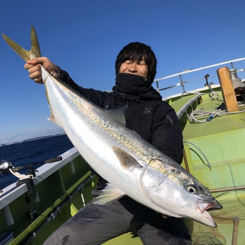 ブリの釣果