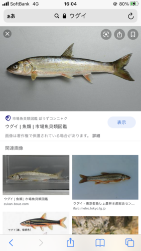 釣果