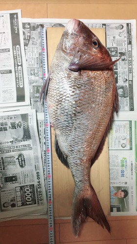 釣果