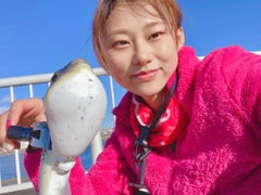 フグの釣果