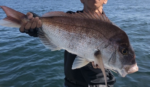 タイの釣果