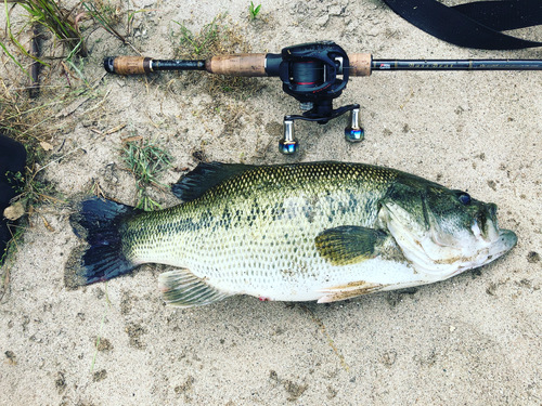 釣果