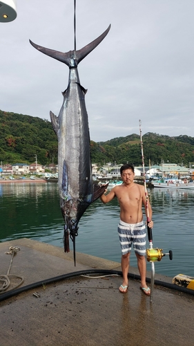 クロカジキの釣果