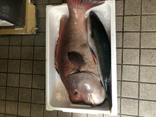 釣果