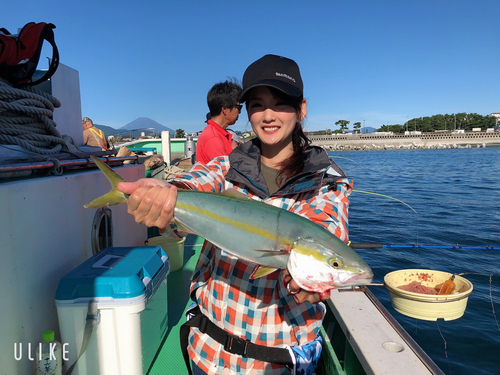 イナダの釣果