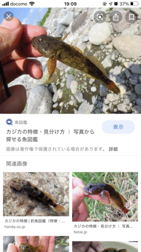 釣果