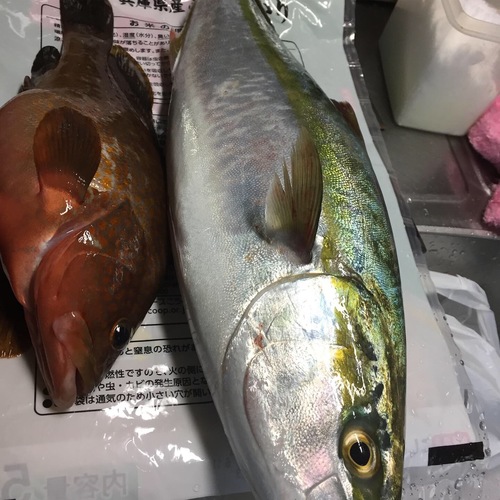 釣果