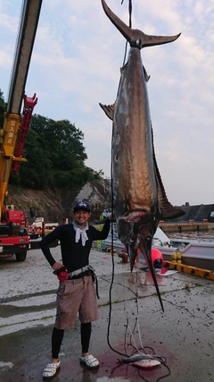 クロカジキの釣果