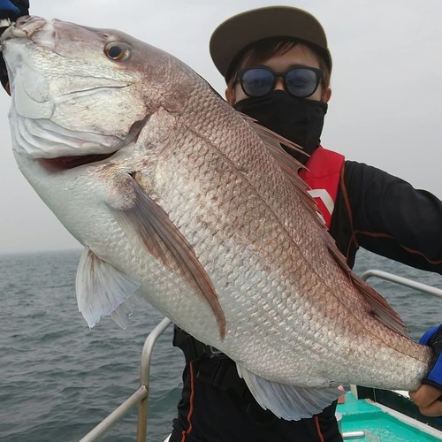 タイの釣果