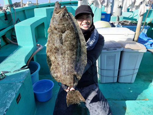 ヒラメの釣果