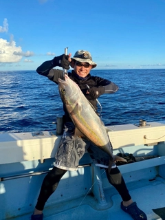 カンパチの釣果