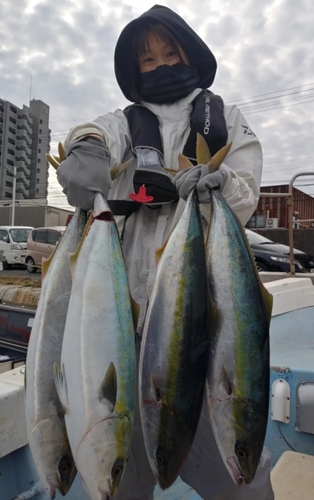 ハマチの釣果