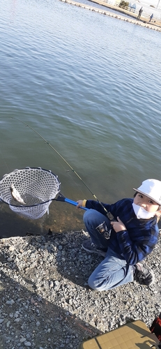 トラウトの釣果