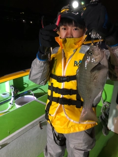 メジナの釣果