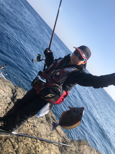 サンノジの釣果