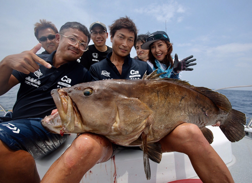 アラの釣果