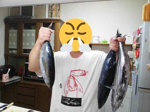 カツオの釣果