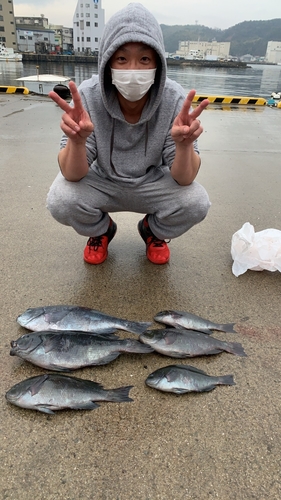 クチブトグレの釣果