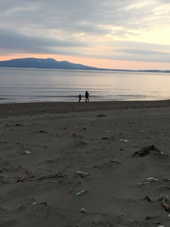 ハタハタの釣果