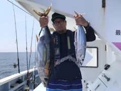 キハダマグロの釣果