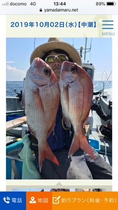 マダイの釣果