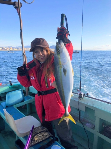 メジロの釣果