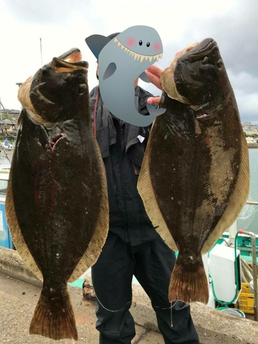 ヒラメの釣果