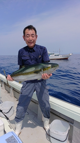 ヒラマサの釣果