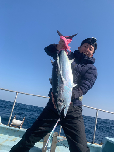 ビンチョウマグロの釣果