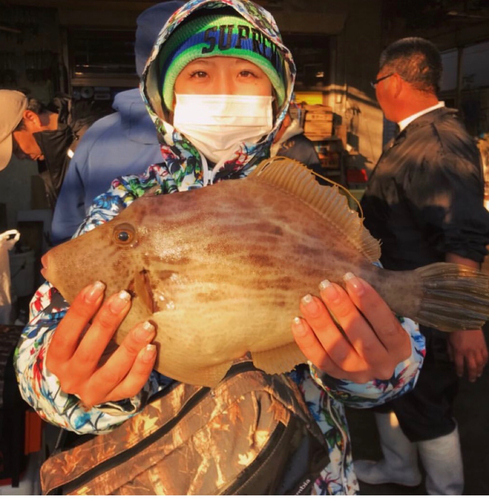 カワハギの釣果