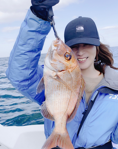 マダイの釣果