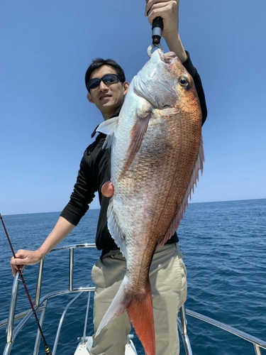 タイの釣果