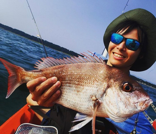 タイの釣果