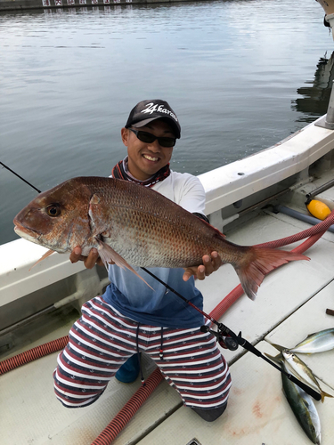 マダイの釣果