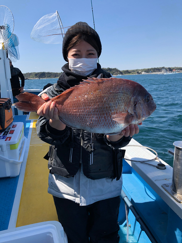 タイの釣果