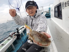 コウイカの釣果