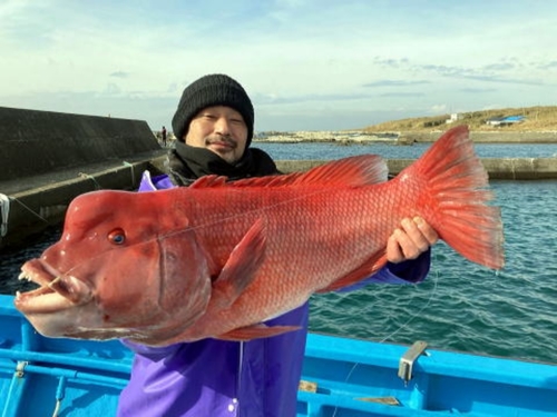 コブダイの釣果