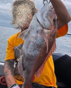 タイの釣果