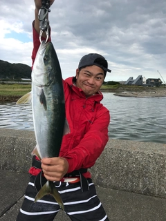 ワラサの釣果