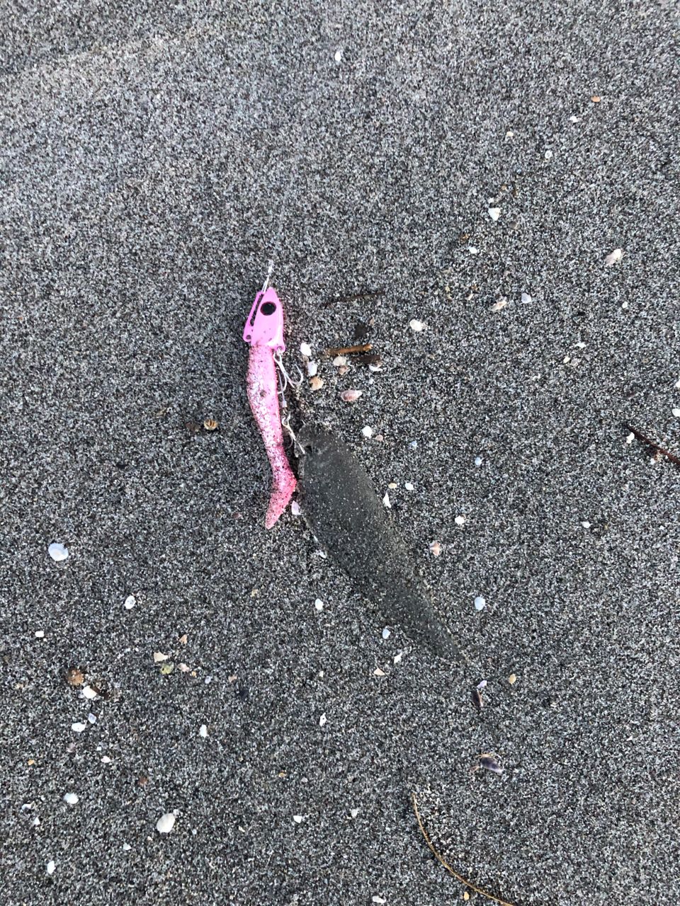 シタビラメ