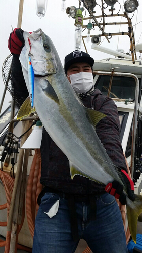 ヒラマサの釣果