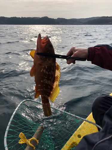 釣果