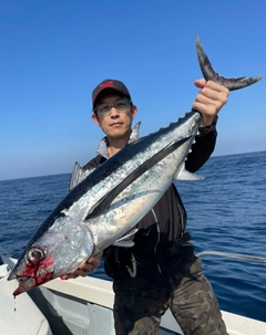 ビンチョウマグロの釣果